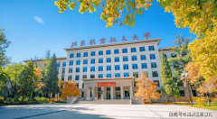 成为兼具适配性取含金量的王